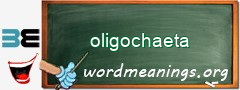 WordMeaning blackboard for oligochaeta